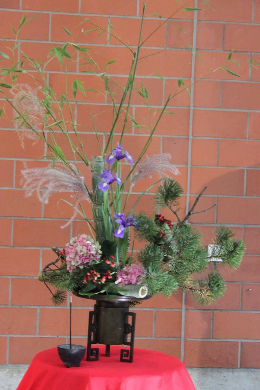 Vielzahl an Pflanzen und Blumen